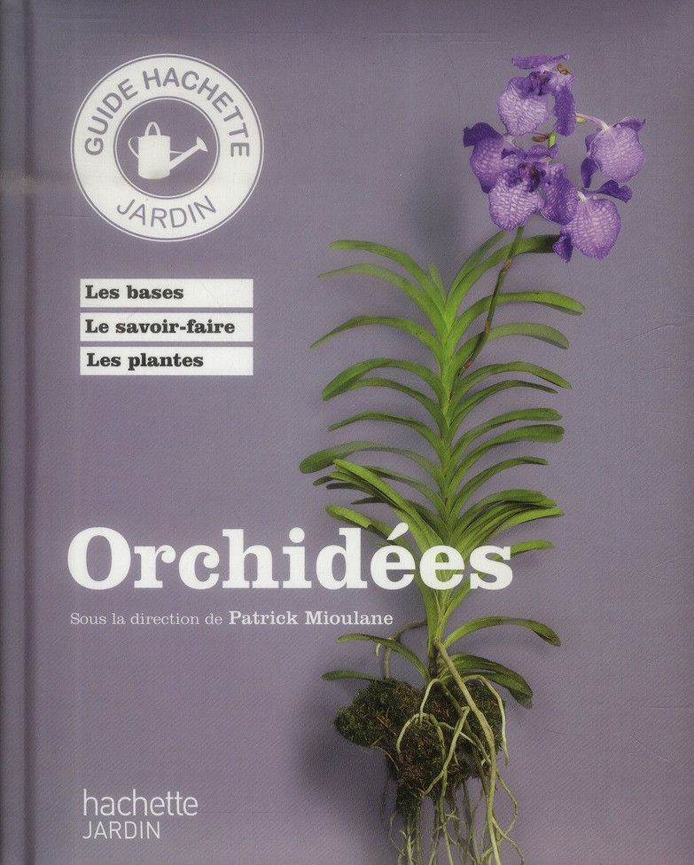 Orchidées