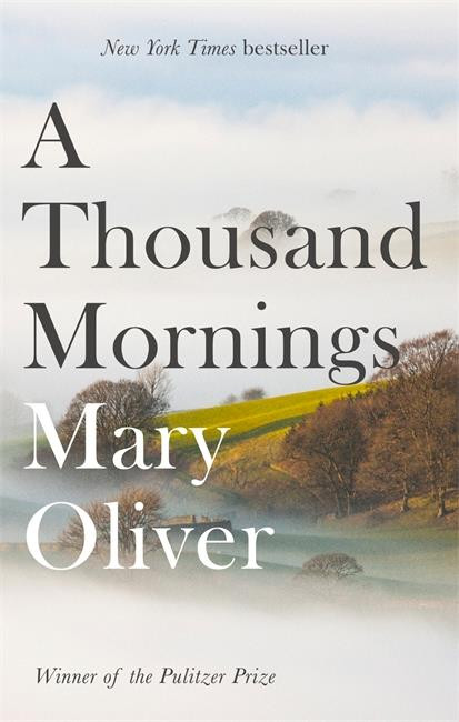 A Thousand Mornings (VO)
