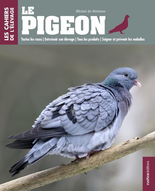 Le pigeon