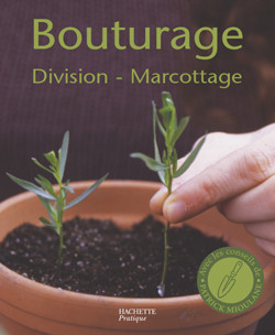 Bouturage, division, marcottage