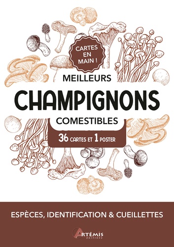 Meilleurs champignons comestibles. 36 cartes et 1 poster