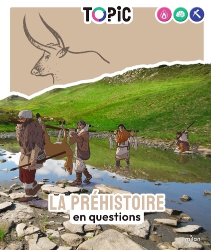 La préhistoire en questions