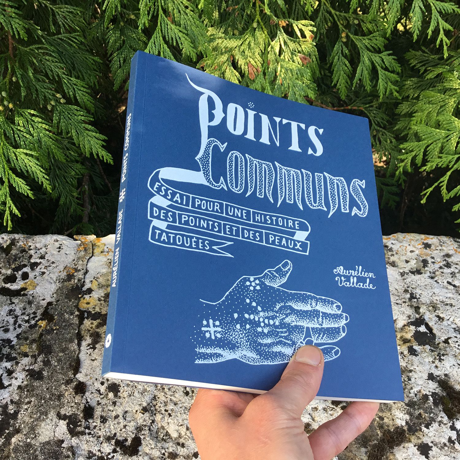 Points communs : Essai pour une histoire des points et des peaux tatouées