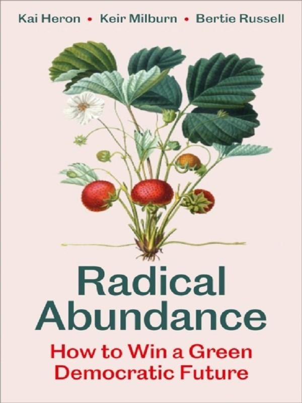 Radical Abundance : How to Win a Green Democratic Future (VO anglaise)