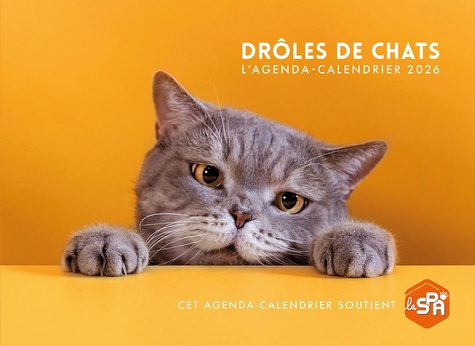 L'agenda-calendrier Drôles de chats. Edition 2026