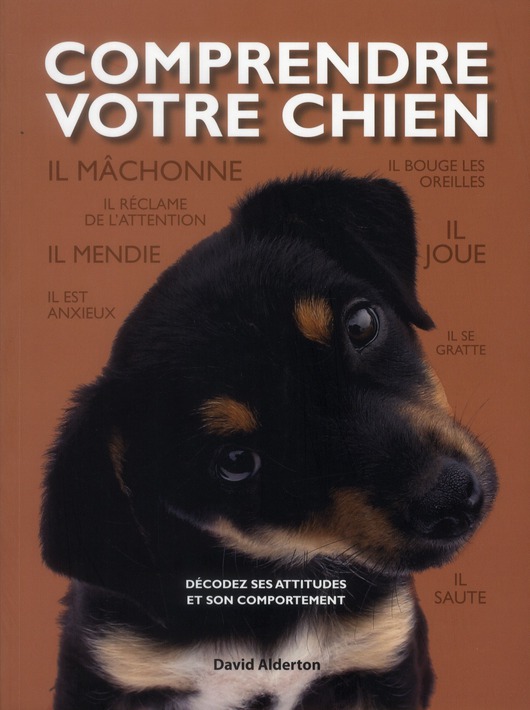 Comprendre votre chien. Décodez les attitudes et le comportement de votre chien