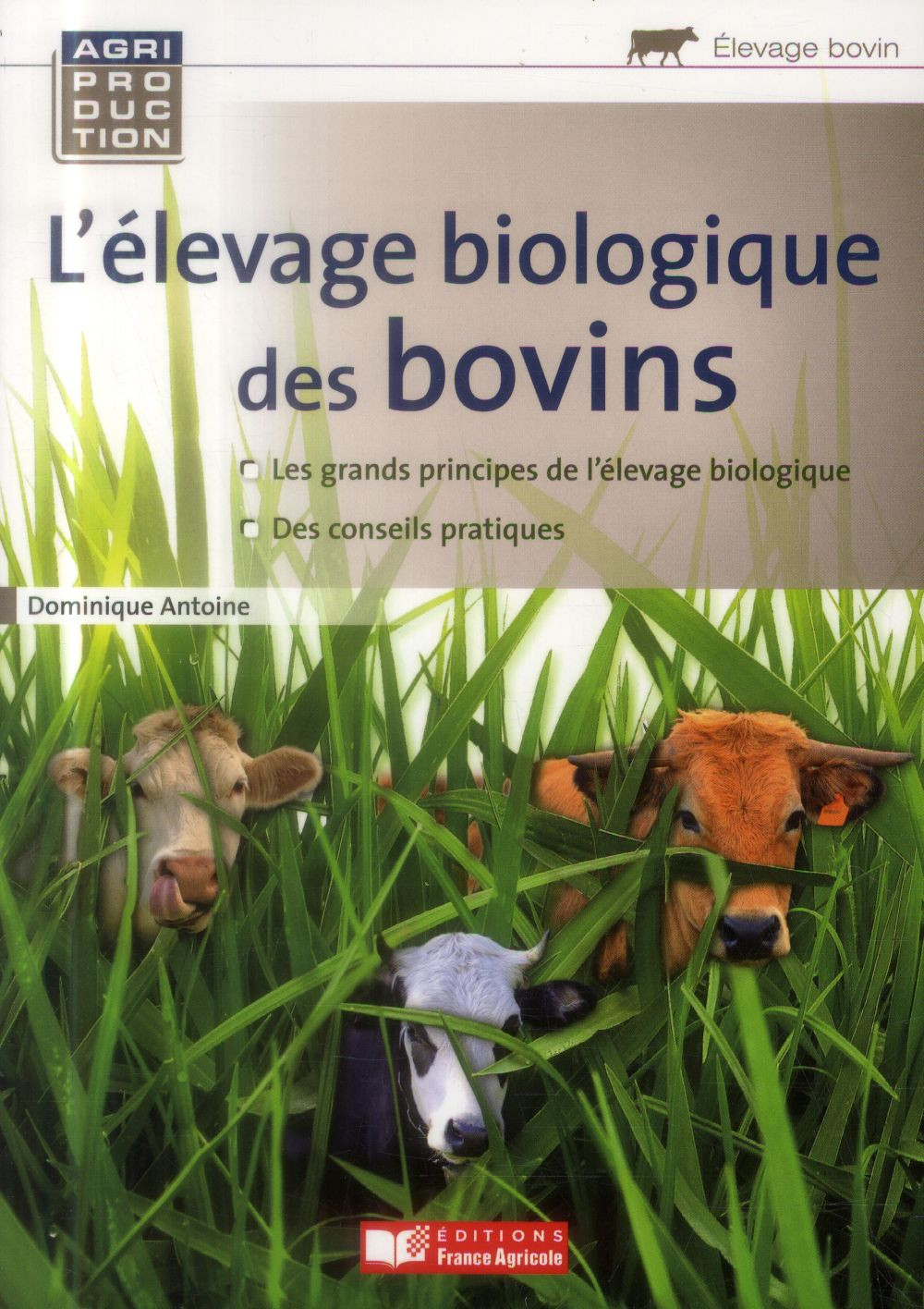 L'élevage biologique des bovins