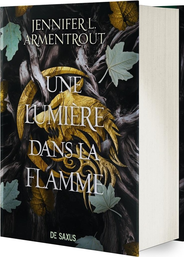 Une lumière dans la flamme Tome 2 : La Chair et le Feu. Edition collector