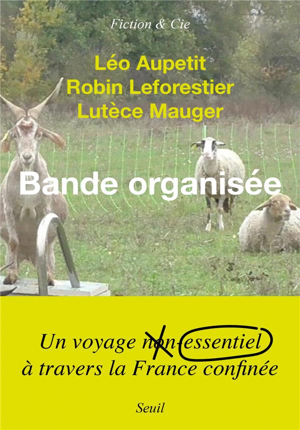 Bande organisée