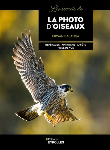 Les secrets de la photo d'oiseaux. Repérages - Approche - Affûts - Prise de vue