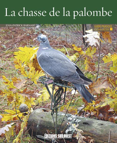 Connaître la chasse de la palombe