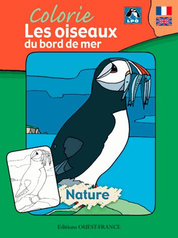 Colorie les oiseaux du bord de mer