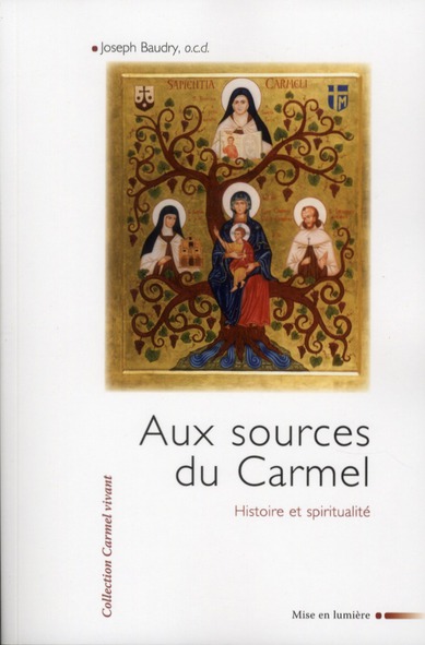 Aux sources du Carmel. Histoire et spiritualité
