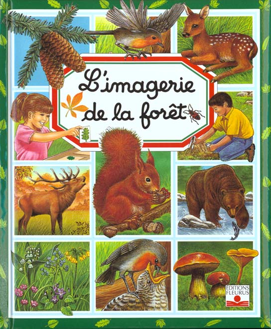 L'imagerie de la forêt