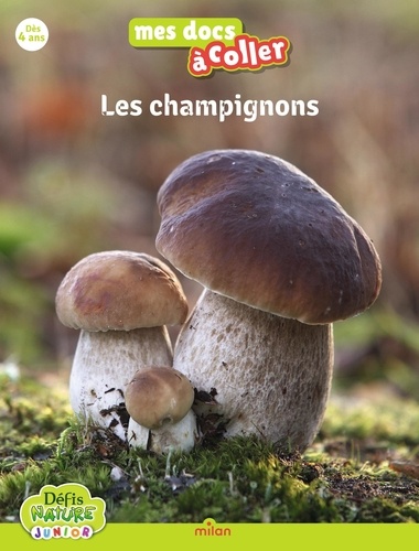 Les champignons