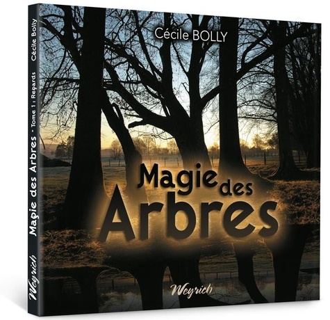 Magie des arbres