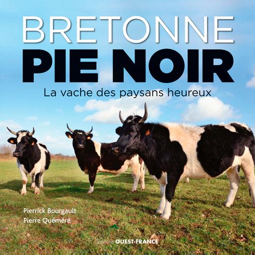 Bretonne pie-noir. La vache des paysans heureux