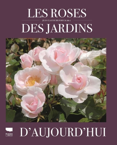 Les roses des jardins d'aujourd'hui