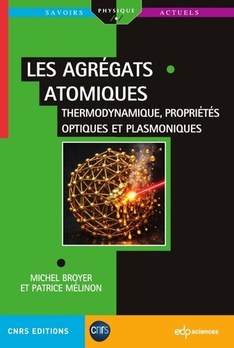 Les agrégats atomiques. Thermodynamique, propriétés optiques et plasmoniques