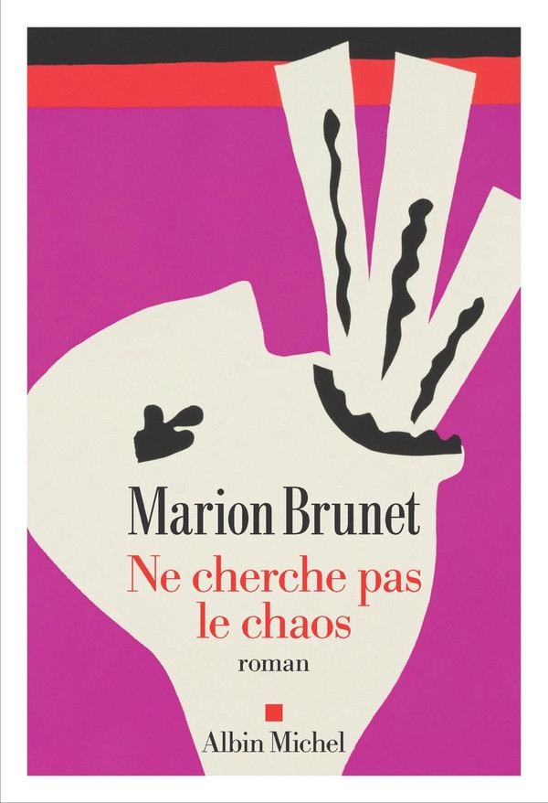 Ne cherche pas le chaos