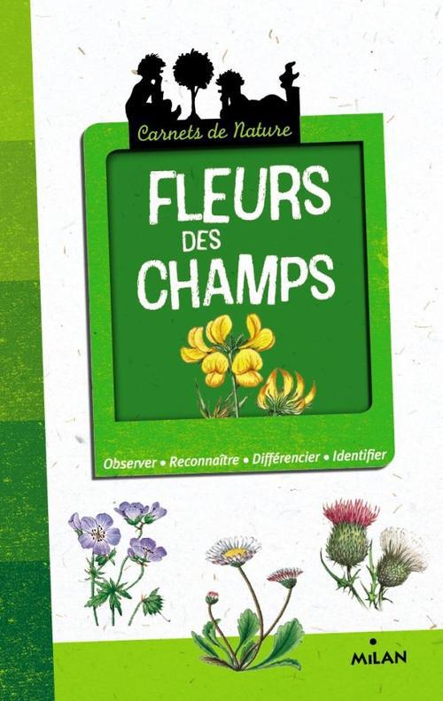 Fleurs des champs