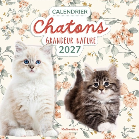 Calendrier Chatons grandeur nature. Edition 2027