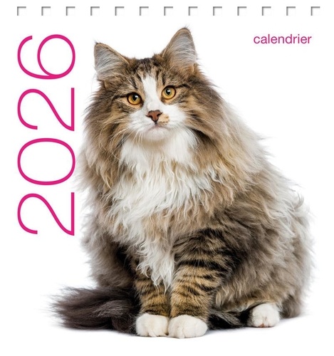 Calendrier de table Chats. Edition 2026