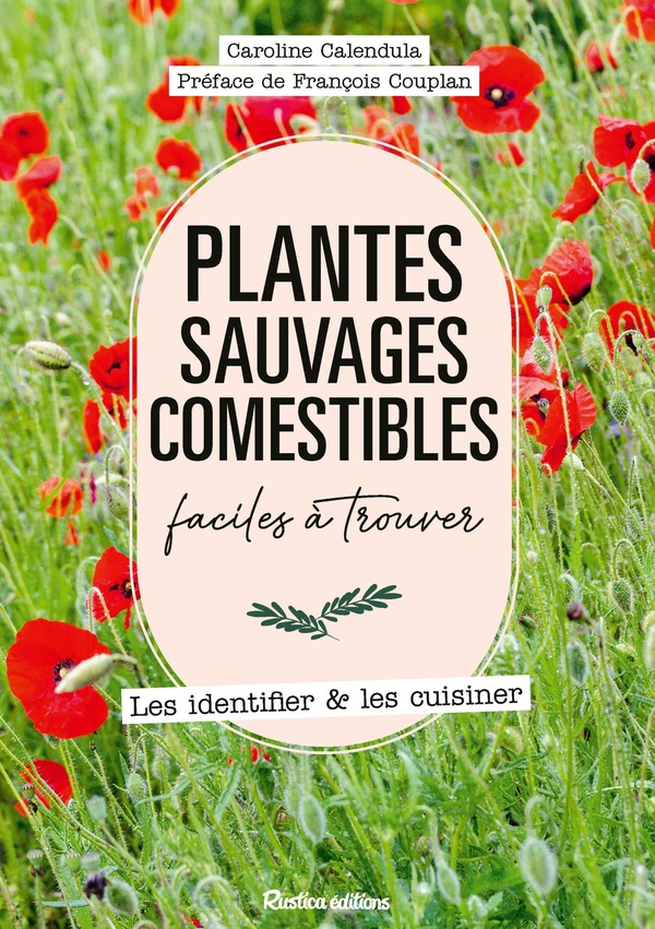 Plantes sauvages comestibles faciles à trouver. Les identifier & les cuisiner
