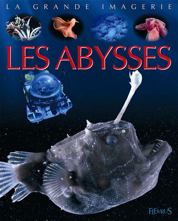 Les abysses