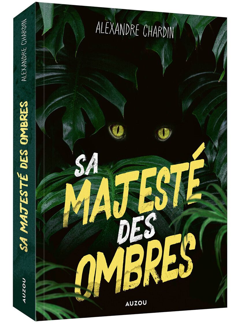 Sa Majesté des Ombres
