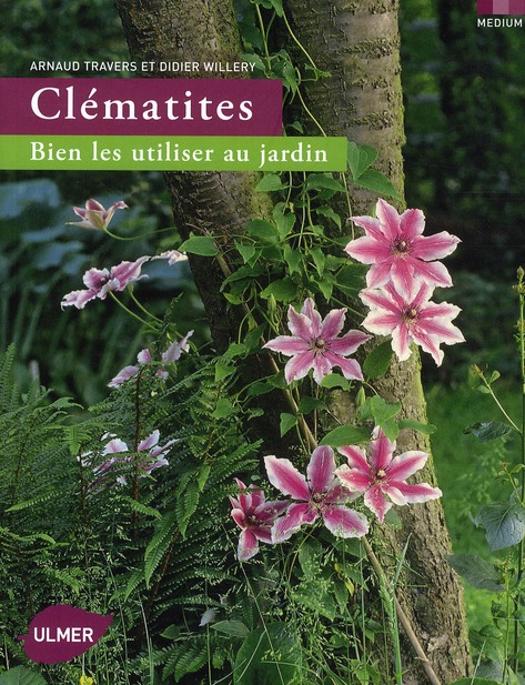 Clématites. Bien les utiliser au jardin
