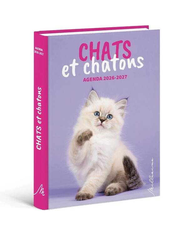Chats et chatons. Agenda scolaire, Edition 2026-2027