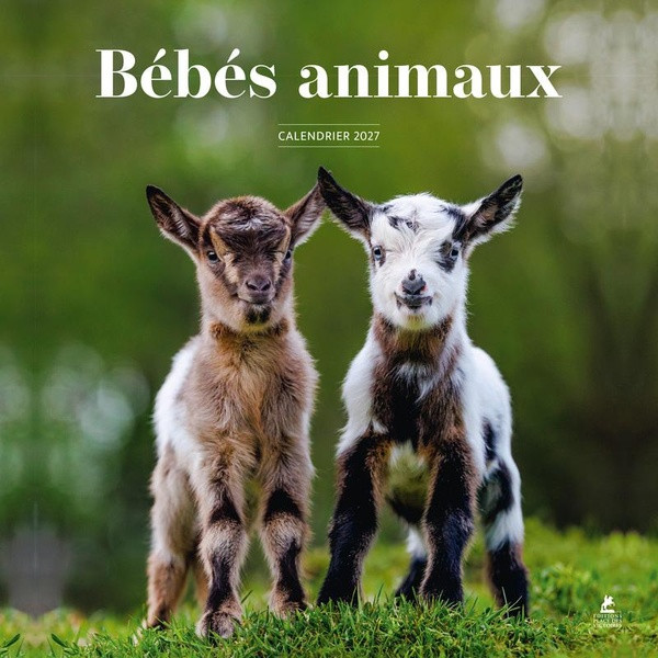 Calendrier Bébés animaux. Edition 2027
