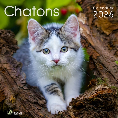 Calendrier chatons. Edition 2026