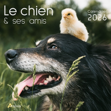 Calendrier le chien et ses amis. Edition 2026