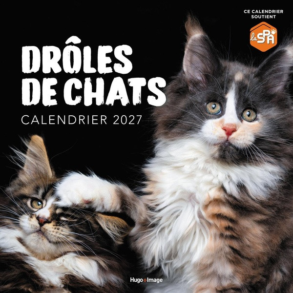 Calendrier Drôles de chats. Edition 2027