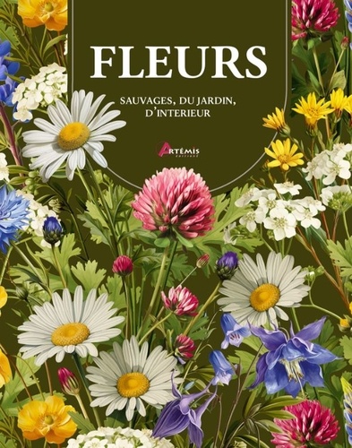 Fleurs sauvages, du jardin, d'intérieur