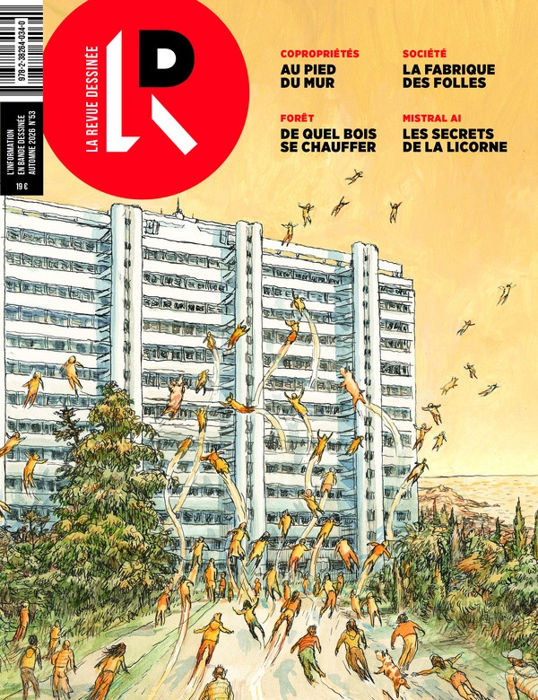 La revue dessinée N° 53