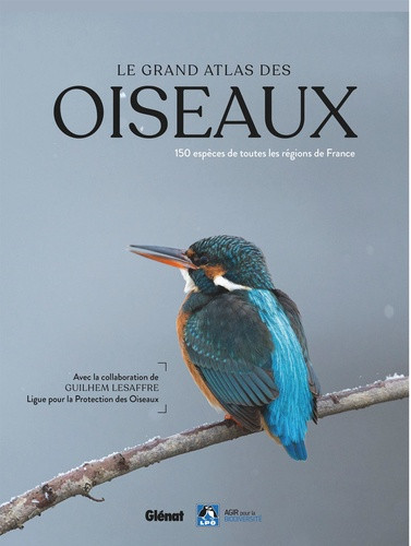 Le Grand Atlas des oiseaux. 150 espèces de toutes les régions de France, 2e édition
