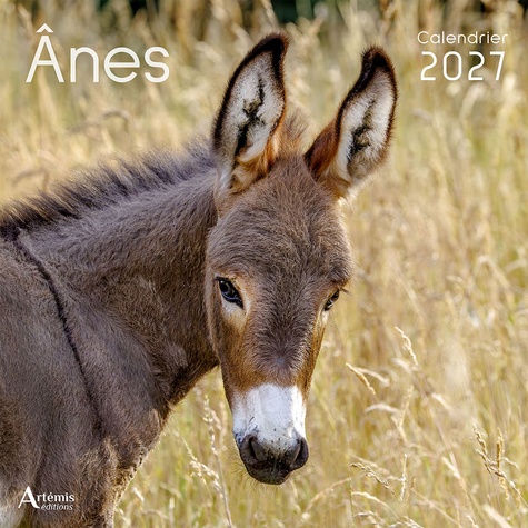 Calendrier Ânes 2027. 2027