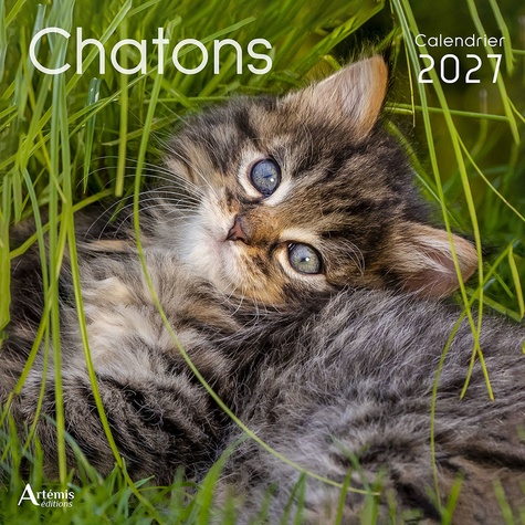 Chatons. Calendrier, Edition 2027