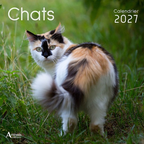 Chats. Calendrier, Edition 2027