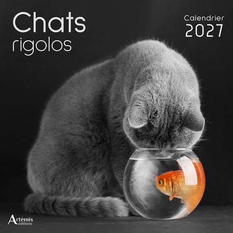 Calendrier chats rigolos 2027. 2027