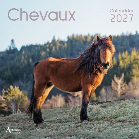 Calendrier chevaux 2027. 2027