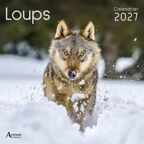 Calendrier Loups 2027. 2027