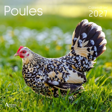 Calendrier Poules 2027. 2027