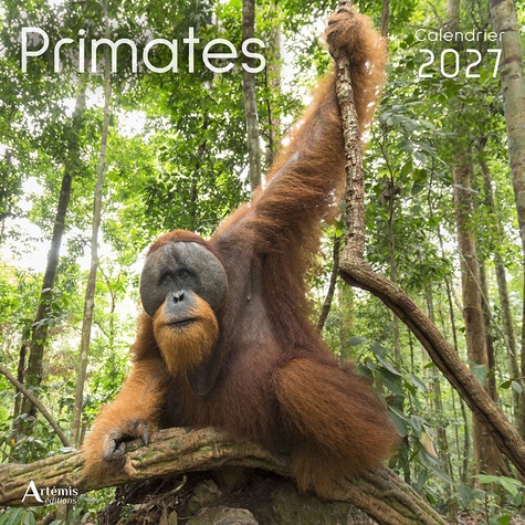 Calendrier Primates 2027. 2027
