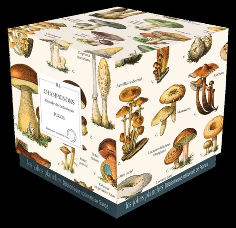PUZZLE CHAMPIGNONS 1000 PIECES