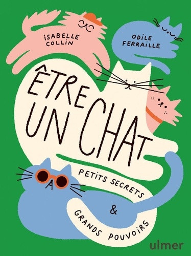 Etre un chat. Petits secrets et grands pouvoirs
