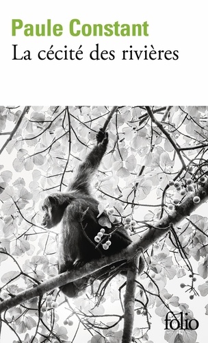 La cécité des rivières